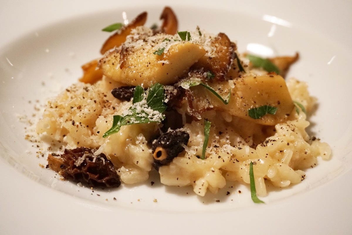 Risotto mit frischen und getrockneten Pilzen