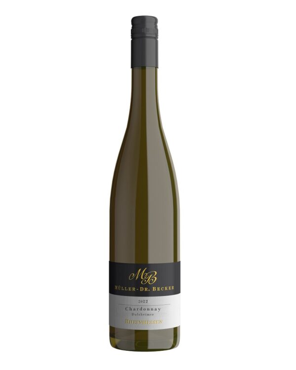 Cook and Enjoy Shop Dalsheimer Chardonnay Sauloch 2023